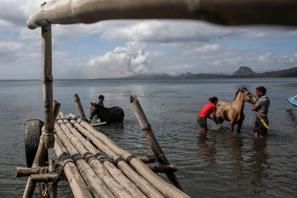Residentes de la isla filipina de Taal limpian las cenizas de sus caballos tras la erupción de un volcán el 14 de enero del 2020. 