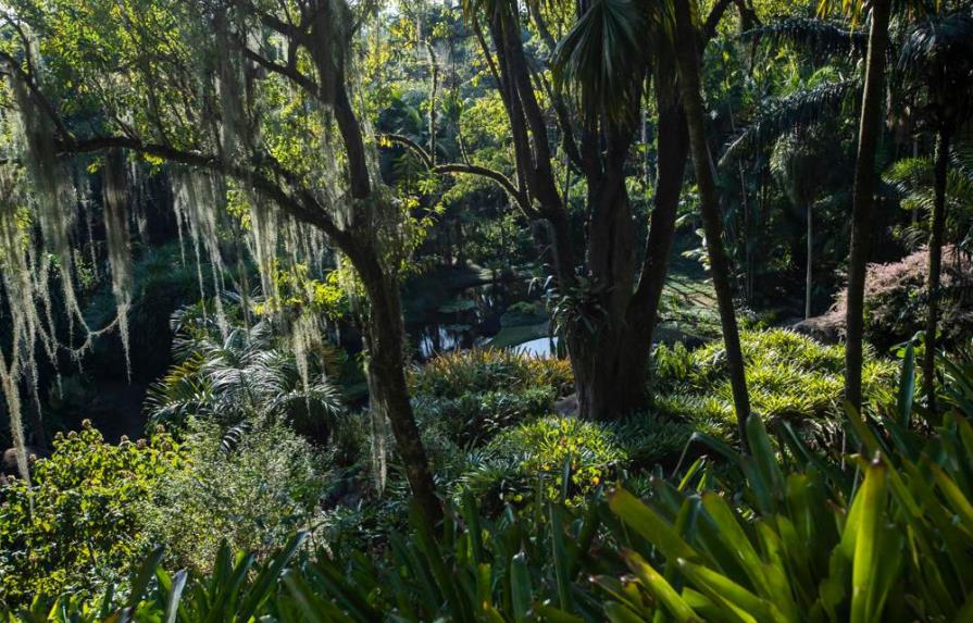 Unesco reconoce jardín de Río de Janeiro como Patrimonio Mundial