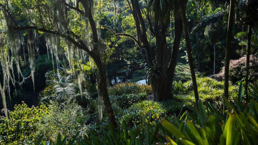 Unesco reconoce jardín de Río de Janeiro como Patrimonio Mundial