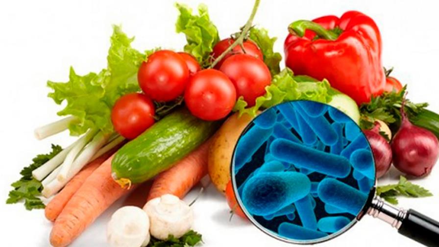 Experto resalta la importancia del manejo correcto de los alimentos Experto resalta la importancia del manejo correcto de los alimentos