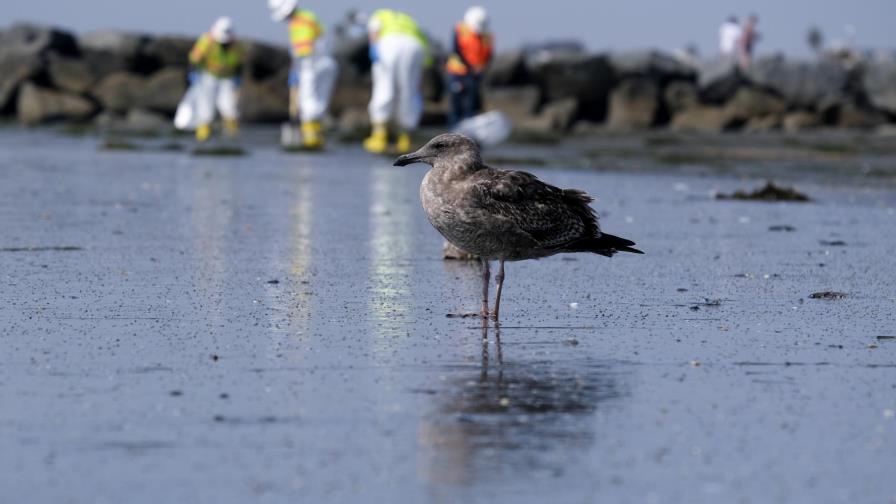 Derrame de California no es desastre ambiental que se temía