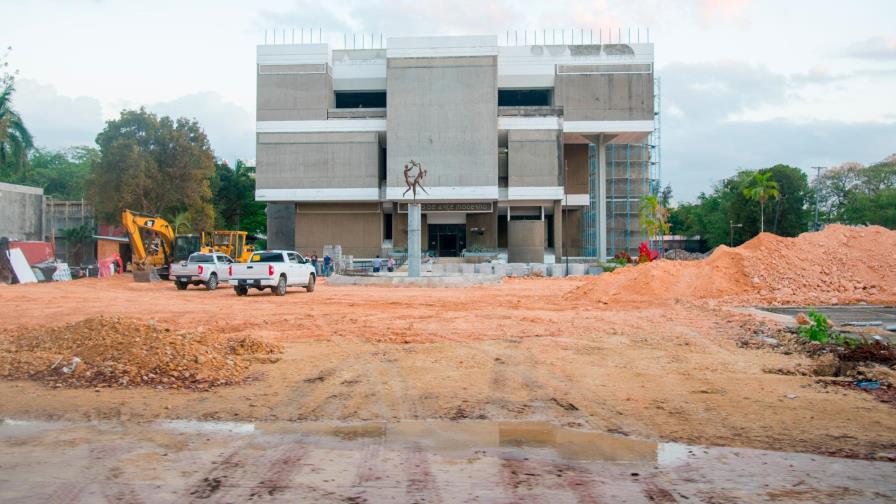 Defiende tala de árboles en la Plaza de la Cultura Defiende tala de árboles en la Plaza de la Cultura