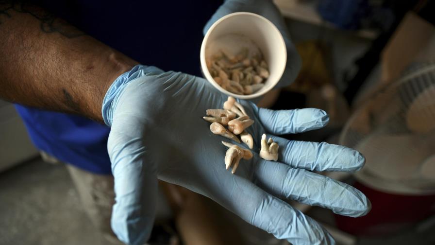 Compostaje humano: una alternativa verde a la incineración