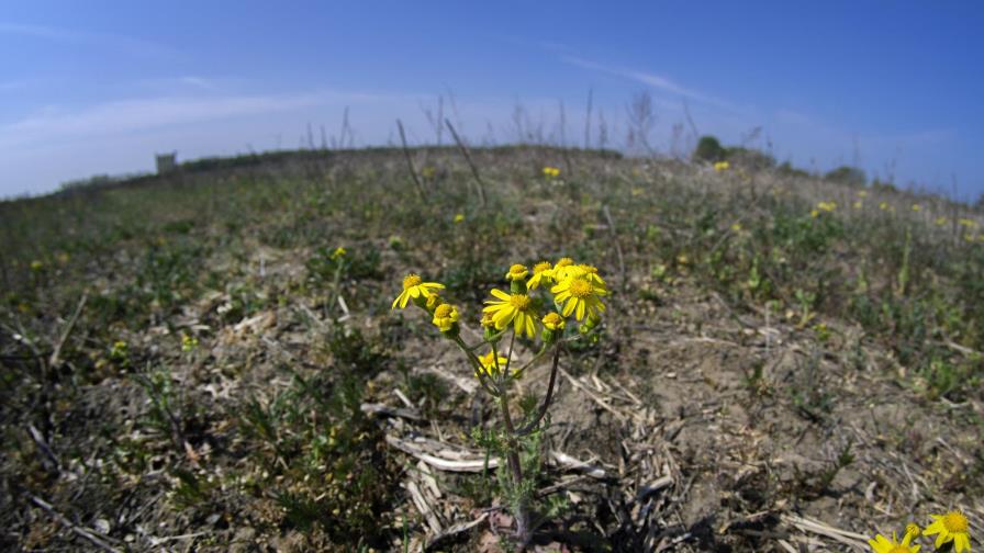 Alemania teme tercera sequía anual consecutiva
