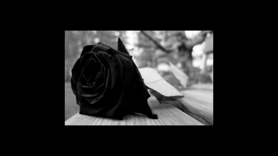 Una adolescente de 13 años se suicida al beber químico en El Valle de Hato Mayor