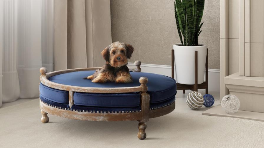 Compañías de muebles ofrecen productos para mascotas
