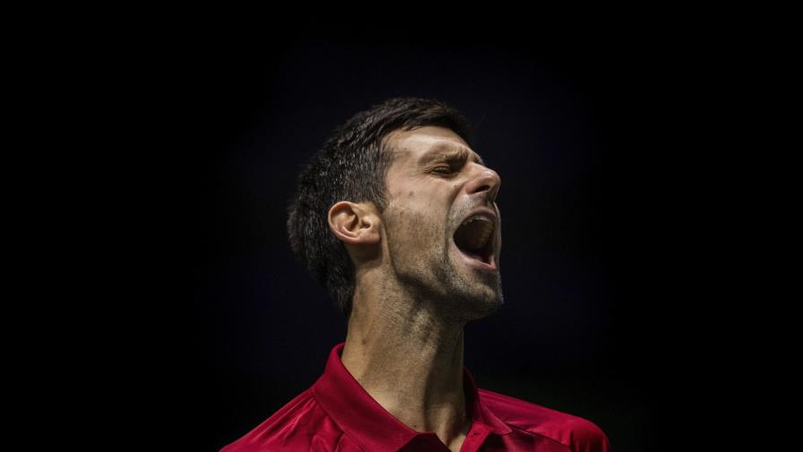 Canadá, en semis de Copa Davis; Argentina y Serbia a cuartos Canadá, en semis de Copa Davis; Argentina y Serbia a cuartos