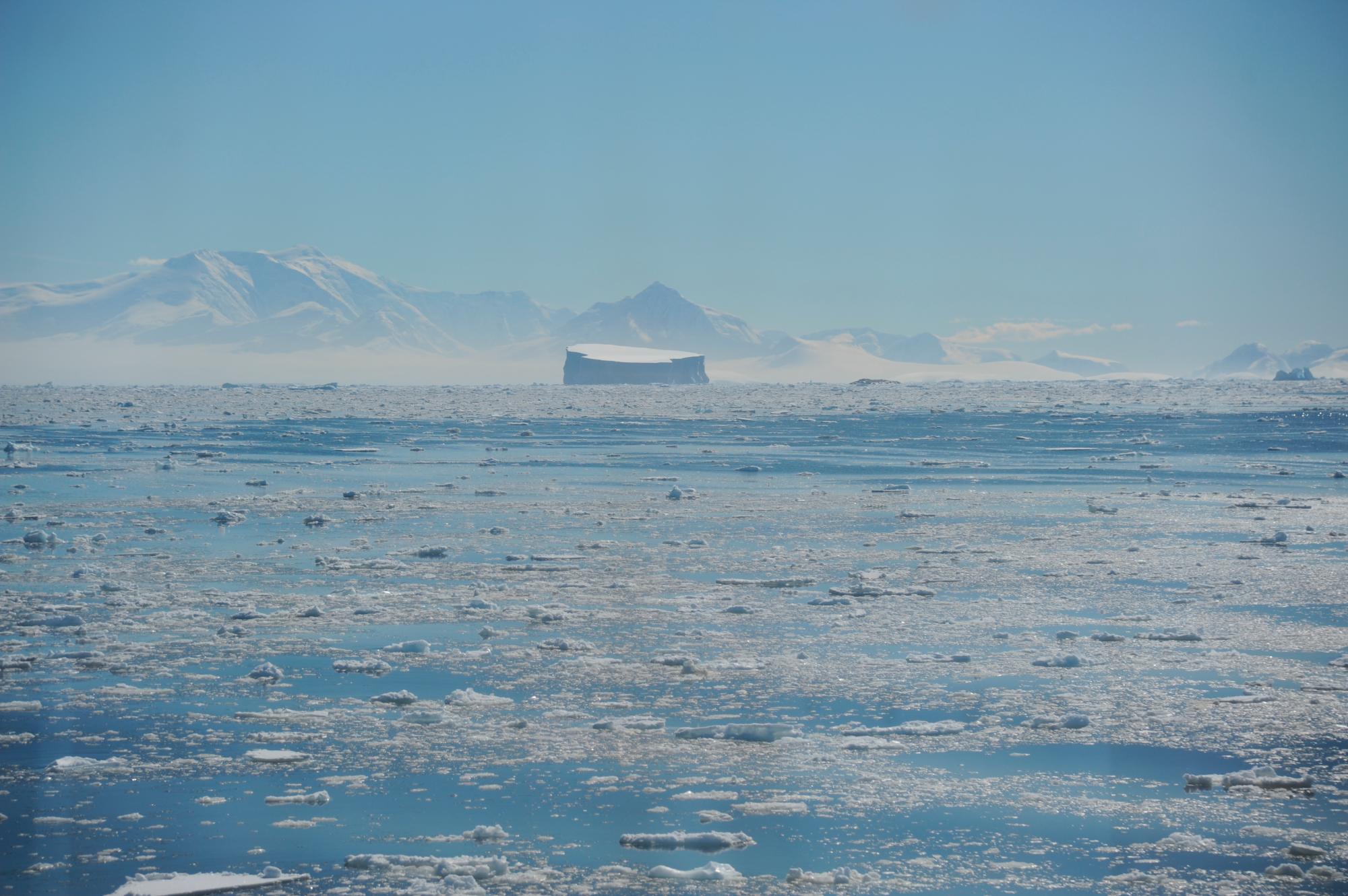 Trozos de hielo desprendido de  glaciares en la Antártida. 