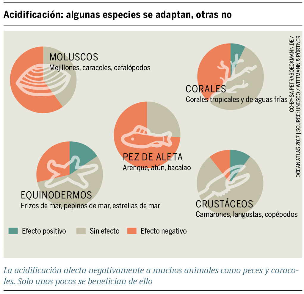 Infografía
