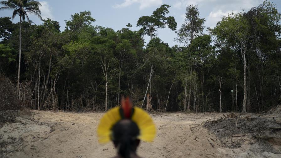 Deforestación de la Amazonía en su nivel más alto desde 2008 Deforestación de la Amazonía en su nivel más alto desde 2008