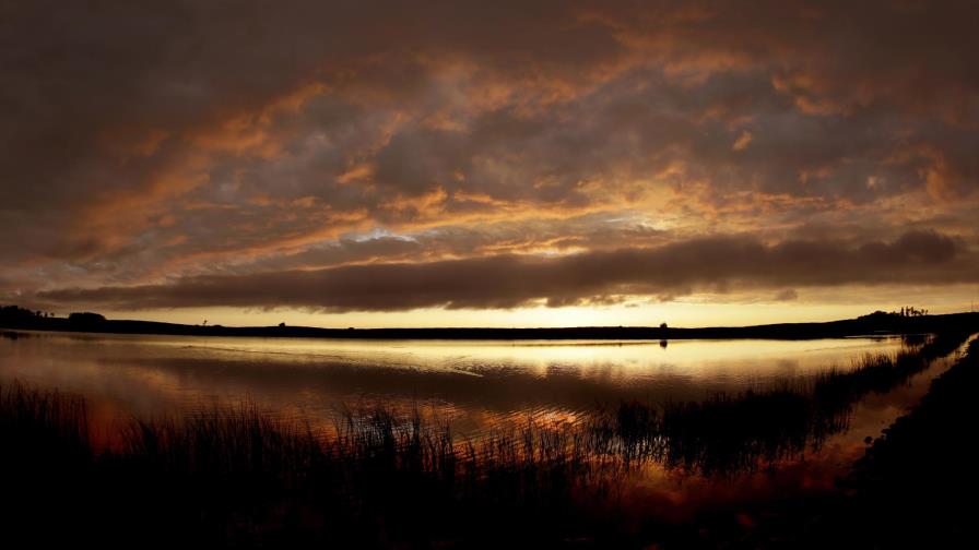 La importancia de revivir estanques desaparecidos La importancia de revivir estanques desaparecidos
