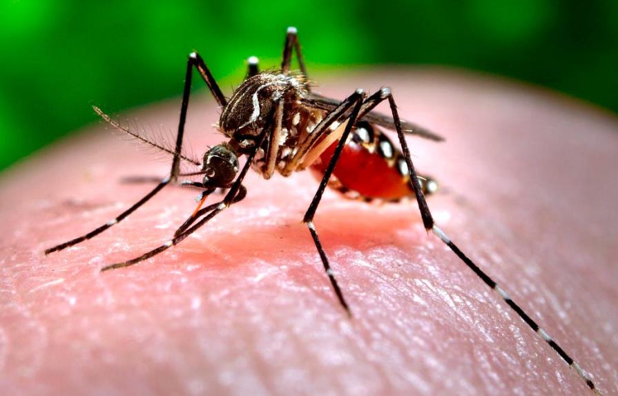 El dengue retrocede en Latinoamérica tras las cifras récord de 2019