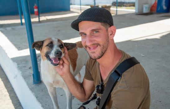 Perros rescatados del maltrato esperan ser adoptados, te contamos cómo