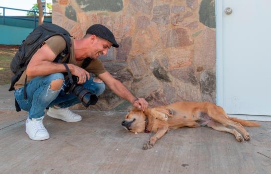 Perros rescatados del maltrato esperan ser adoptados, te contamos cómo