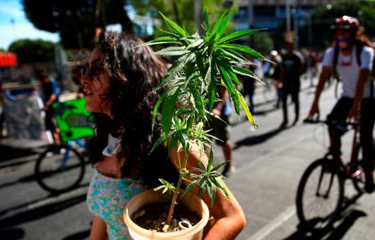 La Cámara de Diputados de México aprueba ley de consumo recreativo de la marihuana