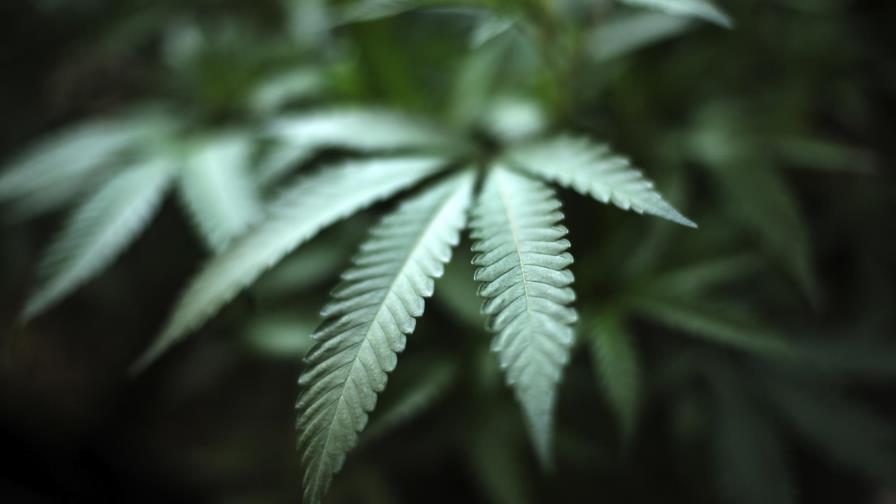Abre el primer dispensario de marihuana medicinal en Utah Abre el primer dispensario de marihuana medicinal en Utah