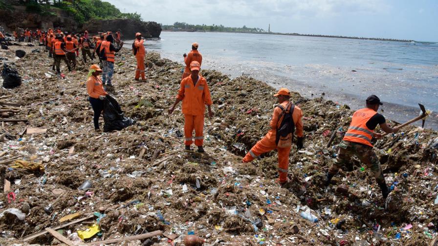 La carroña y las ciudades 