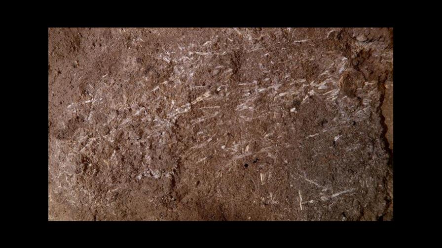 La cama más antigua de la humanidad fue construida con hierba y ceniza