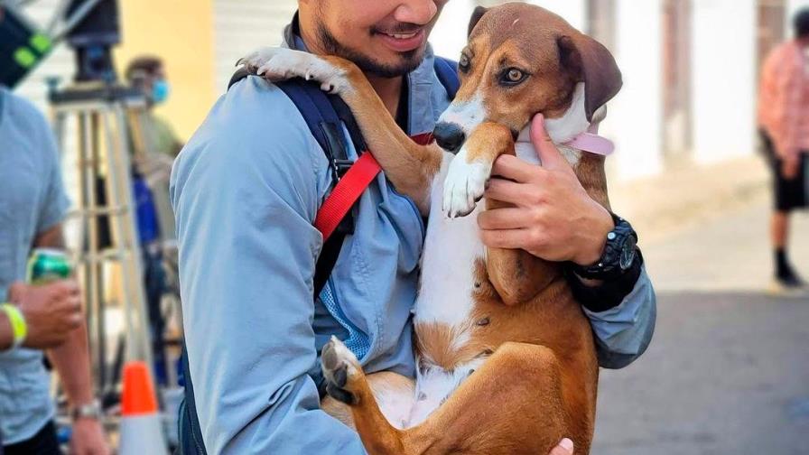 Actor de Marvel revela la odisea para sacar a su perrita “Chopa” de la República Dominicana