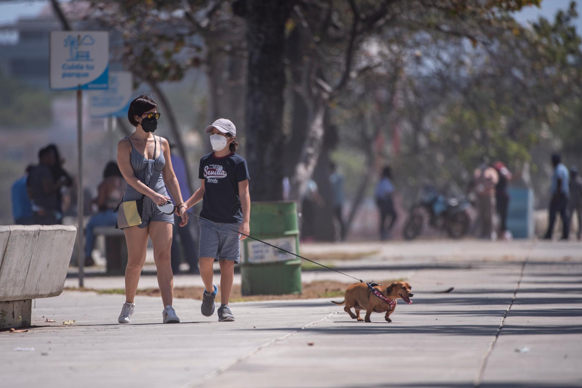 Hasta las mascotas  son sacadas a pasear en tiempos de cuarentena.
