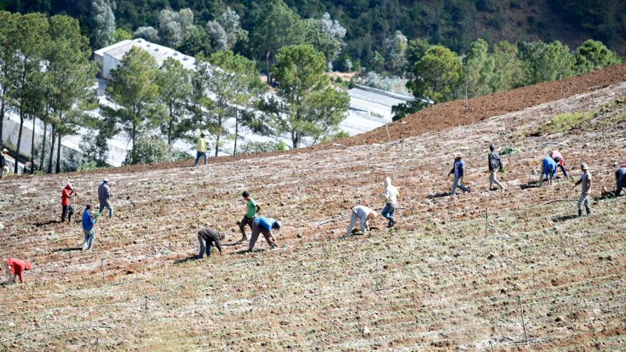 TSA comprueba incumplimiento de Medio Ambiente en Valle Nuevo 