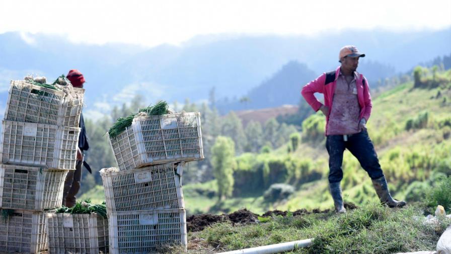 Exigen se aplique la ley a los que dañan áreas protegidas Exigen se aplique la ley a los que dañan áreas protegidas