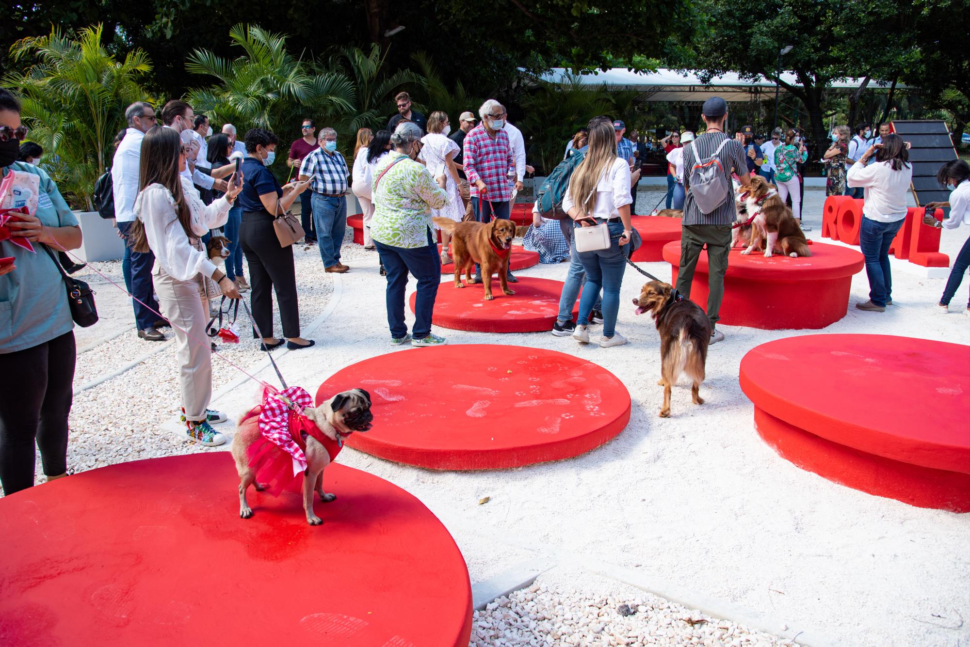 Las mascotas que suelen visitar el Parque Mirador del Sur tienen un espacio acondicionado para su disfrute. (Foto: Dania Acevedo)