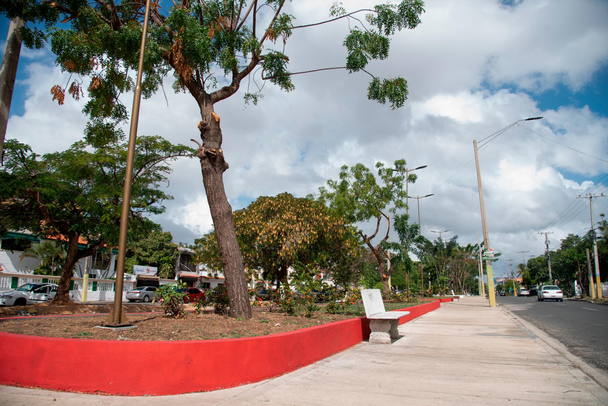 El lugar es adecuado para caminar y descansar.