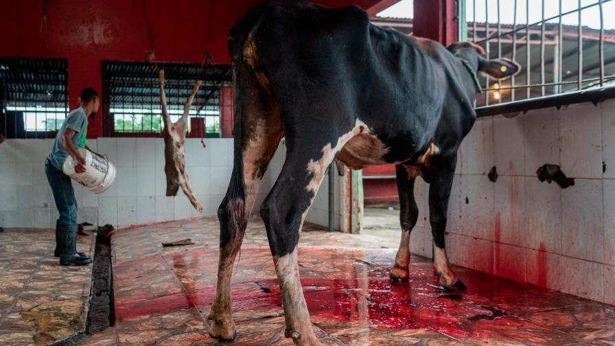 Ministro de Medio Ambiente da plazo para que mataderos obtengan permiso ambiental