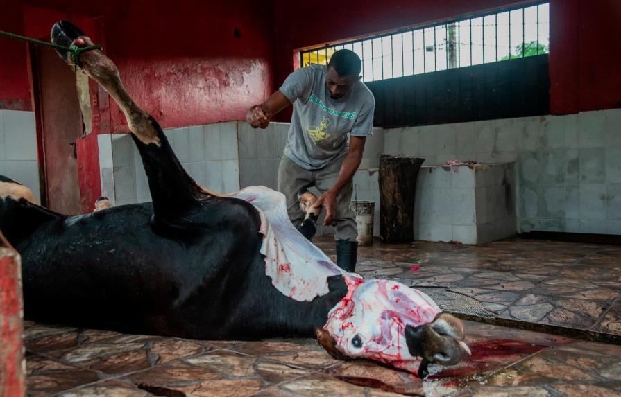 Mataderos municipales: entre faltas sanitarias y maltrato animal