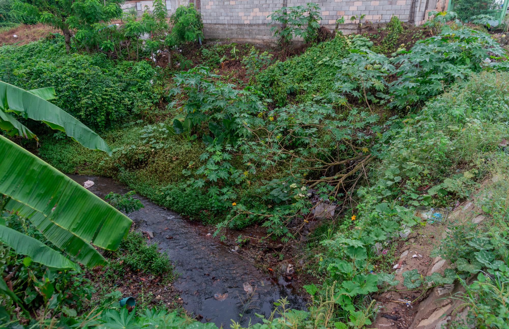 La sangre de los animales sacrificados en el matadero municipal de Monte Plata tiene como destino final el arroyo de la imagen, que está a pocos metros del recinto.