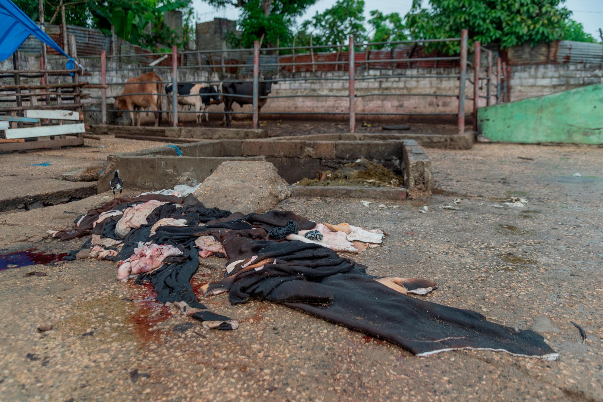Vista del matadero municipal de Guerra.