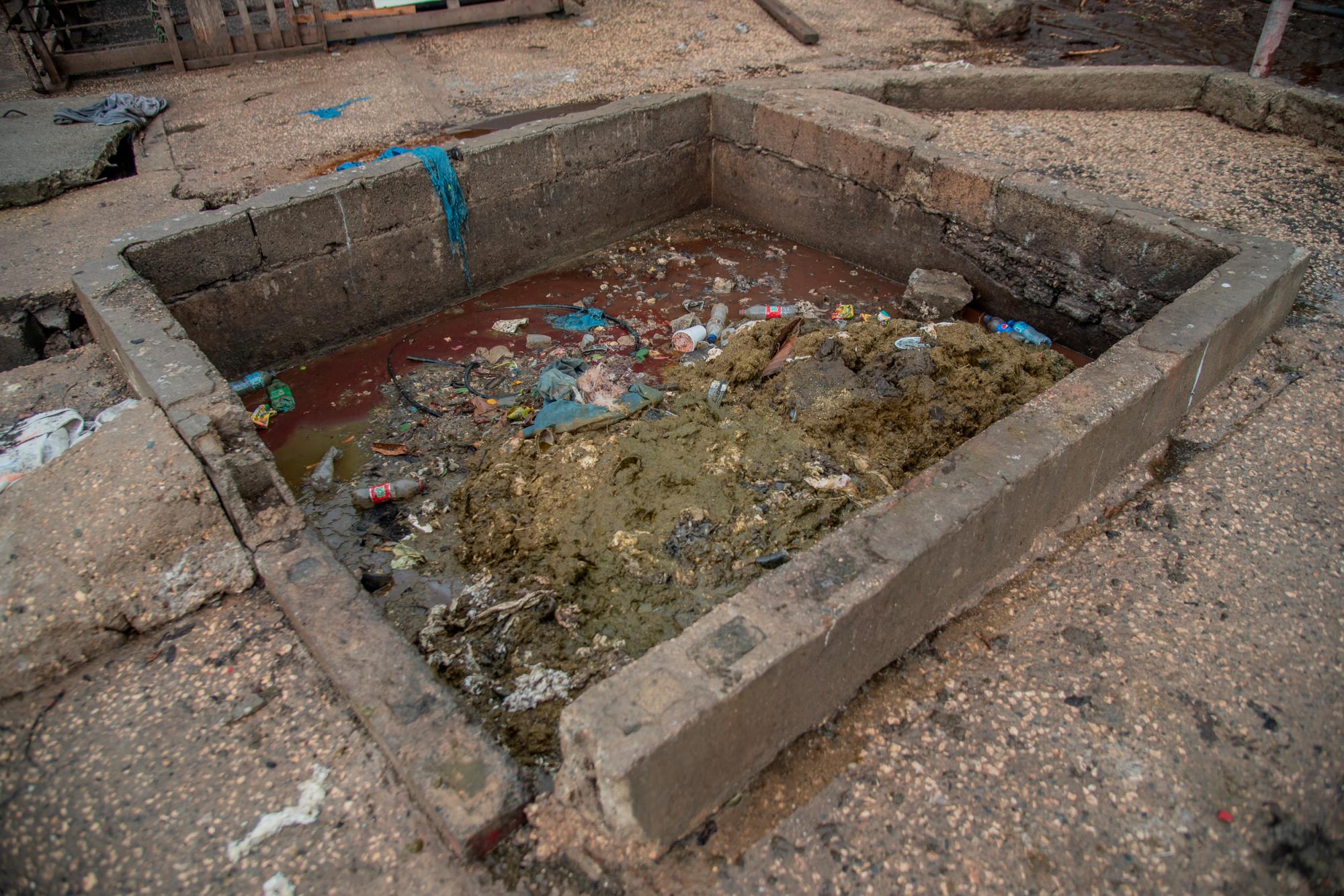 Excremento acumulado de los animales que atienden en el matadero municipal de Guerra.