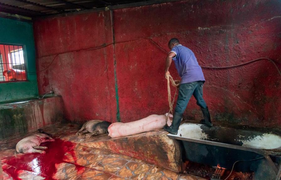 Pro Consumidor sobre mataderos: tenemos que seguir adelante en hacer que se cumplan las reglas