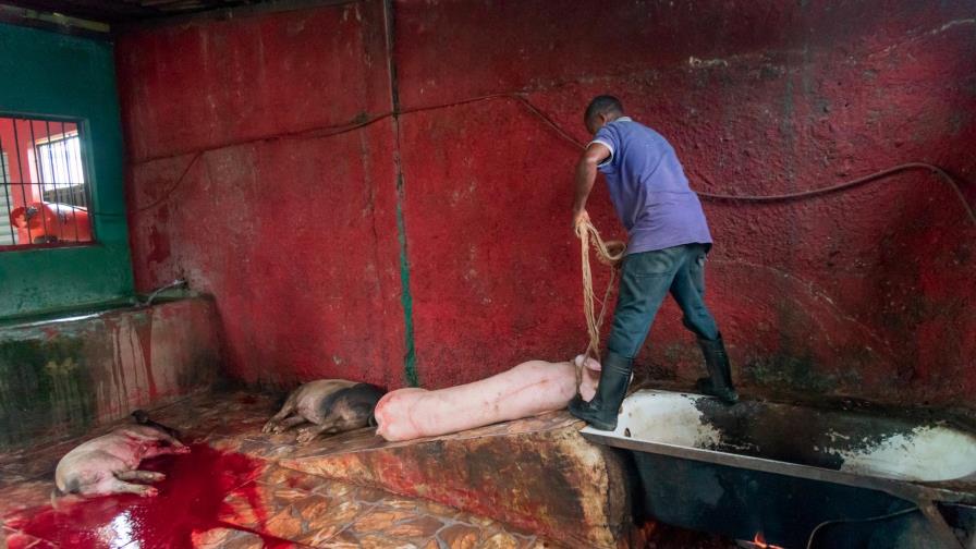 Pro Consumidor sobre mataderos: tenemos que seguir adelante en hacer que se cumplan las reglas Pro Consumidor sobre mataderos: tenemos que seguir adelante en hacer que se cumplan las reglas