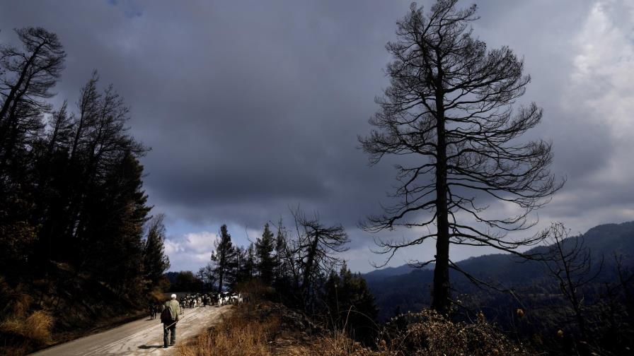 Un nuevo incendio quema la isla griega de Evia