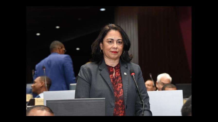 Diputados aprueban proyecto de ley con votos de algunos perremeístas 