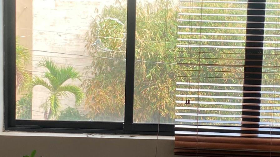 Rompen cristales de oficina de Faride Raful durante enfrentamientos en Congreso Nacional Rompen cristales de oficina de Faride Raful durante enfrentamientos en Congreso Nacional