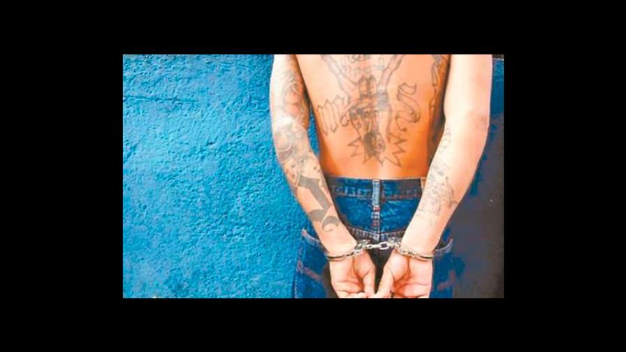 Pandillero de MS-13 sentenciado por asesinato en Nueva York Pandillero de MS-13 sentenciado por asesinato en Nueva York