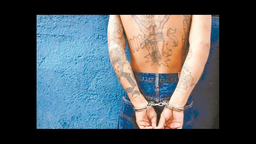 Condenan a 25 años de cárcel a líder de pandilla MS-13 en Nueva York Condenan a 25 años de cárcel a líder de pandilla MS-13 en Nueva York