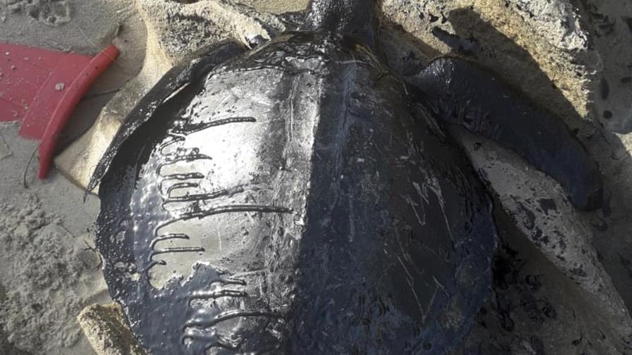 Derrames de petróleo serían de carácter penal: Bolsonaro