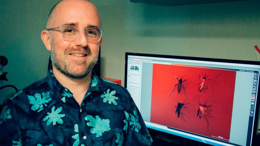 Desarrollan sistema para controlar mosquitos con cebo con olor a lluvia Desarrollan sistema para controlar mosquitos con cebo con olor a lluvia