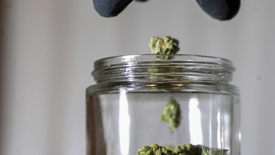 EEUU: 4 estados harán referendo sobre legalizar la marihuana EEUU: 4 estados harán referendo sobre legalizar la marihuana