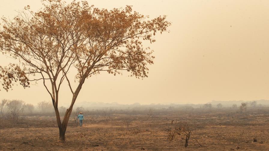 Enorme incendio arde en la zona de Pantanal en Brasil