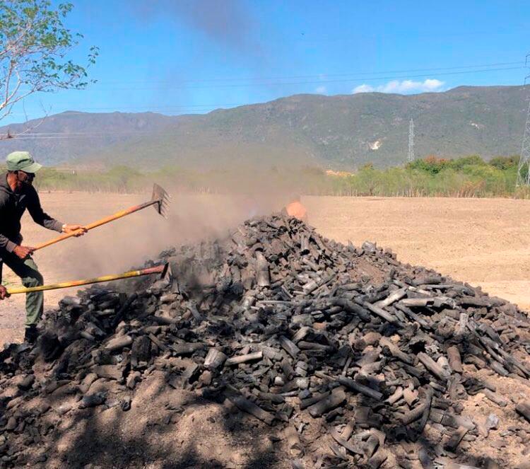 El Ministerio de Medio Ambiente destruyó hornos ilegales de carbón.