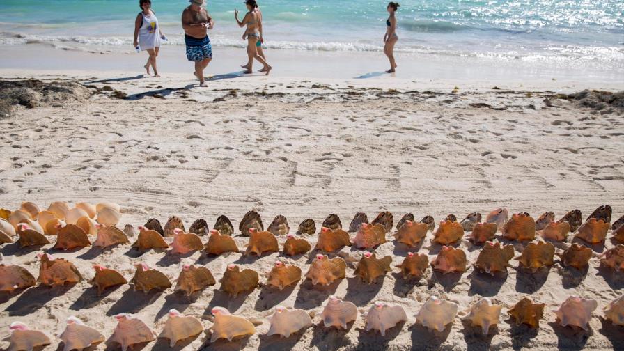 Se necesitan 35,000 nuevas habitaciones para llegar a la meta de cantidad de turistas
RD necesita 35,000 nuevas habitaciones