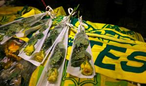 Reanudan la b&uacute;squeda del avi&oacute;n del futbolista argentino Sala