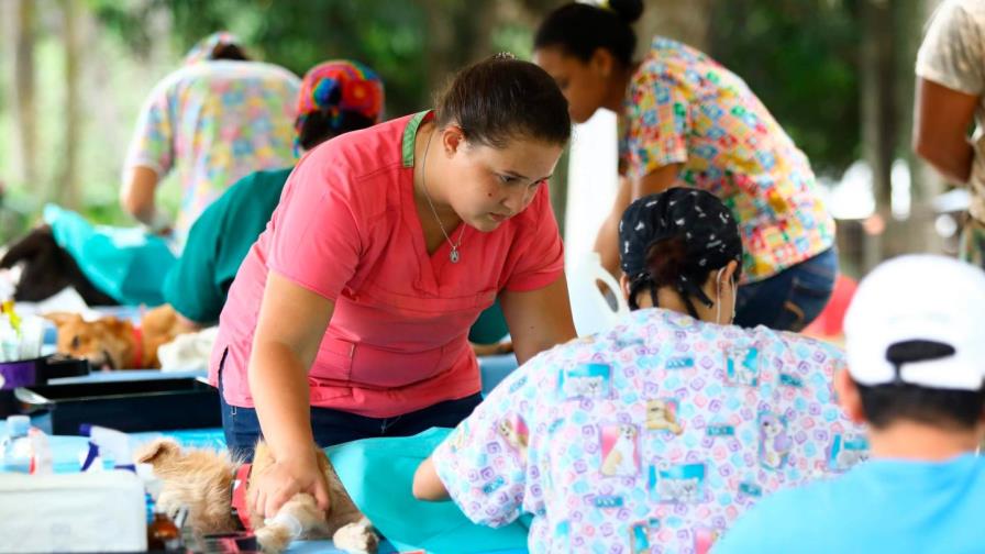 Procuraduría realiza jornada de sanidad animal