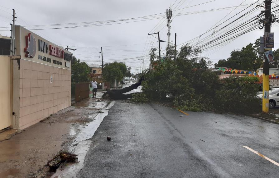 Tormenta Laura anega casas, calles y derriba árboles en el Gran Santo Domingo