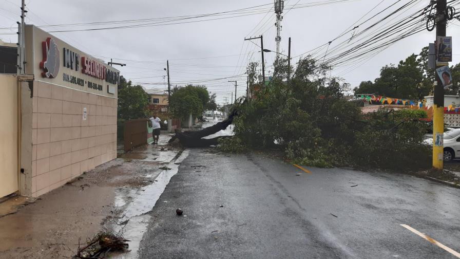 Tormenta Laura anega casas, calles y derriba árboles en el Gran Santo Domingo